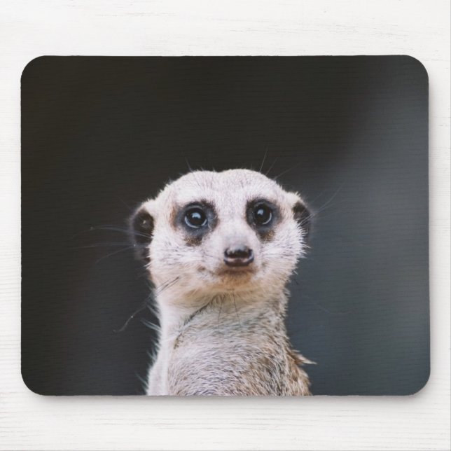 Are you looking at me?  Meerkat Mousepad (Front)