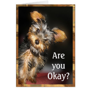 Are you Okay? Customisable