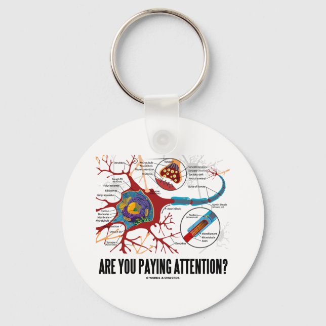Are You Paying Attention? (Neuron Synapse Humour) Key Ring (Front)