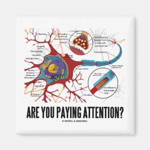 Are You Paying Attention? (Neuron Synapse Humour) Magnet