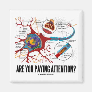 Are You Paying Attention? (Neuron Synapse Humour) Magnet