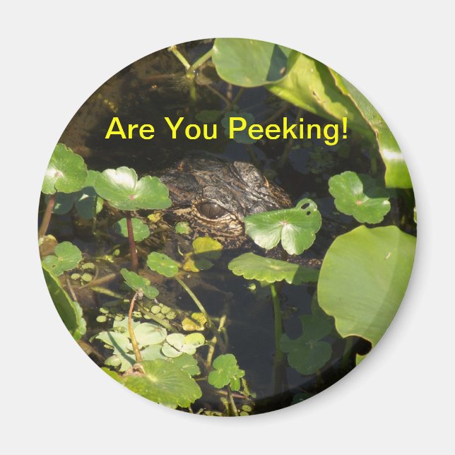 Are You Peeking! Magnet (Front)