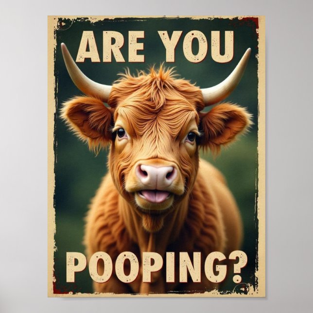 Are You Pooping? Funny Highland Cow, Cow Art Poster (Front)