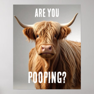 Are you Pooping Funny Highland Cow Toilet Bathroom Poster