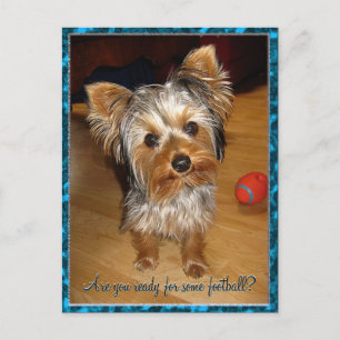 Are you ready for some Football? Postcard