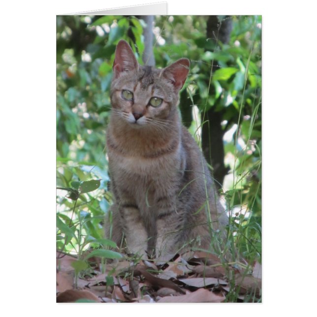 Are you talkin' to me? - TBD series (Front)