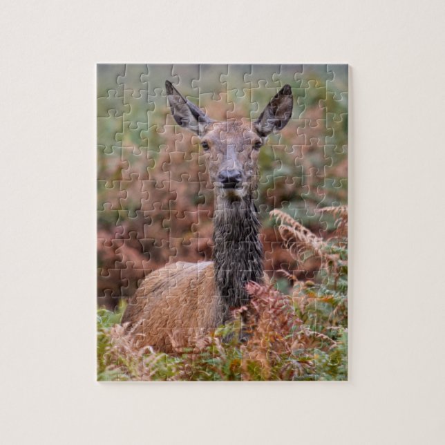 Are You Talking to Me? - 8x10 - 110 pieces Jigsaw Puzzle (Vertical)
