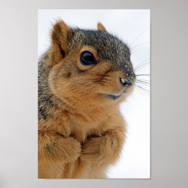 Are You Talking to Me Poster (Front)