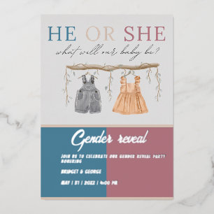 are you team boy or girl gender reveal party