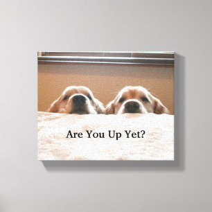 Are You Up Yet? Golden Retriever Canvas Print