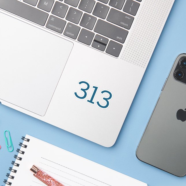 Area Code 313 (Detroit) (Laptop w/ iPhone)