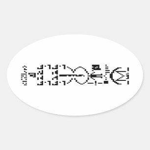 Arecibo Binary Message 1974 Oval Sticker