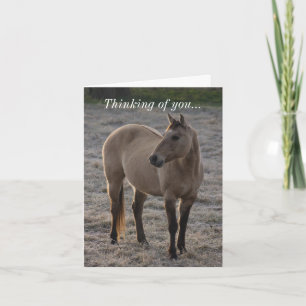 Aren't I Pretty Thinking Of You Card