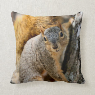 Aren't you coming? cushion