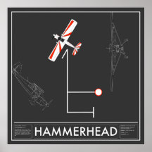 Aresti Aerobatic Hammerhead Super Decathlon