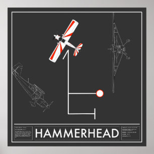 Aresti Aerobatic Hammerhead Super Decathlon Poster