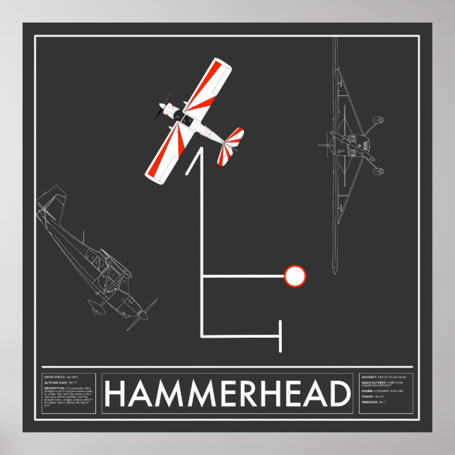 Aresti Aerobatic Hammerhead Super Decathlon Poster (Front)