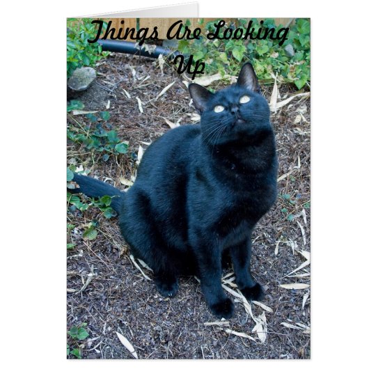 Arg Birthday Card 3