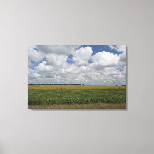 Argentina, Buenos Aires, San Antonio de Areco. Canvas Print