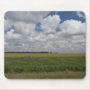 Argentina, Buenos Aires, San Antonio de Areco. Mouse Mat