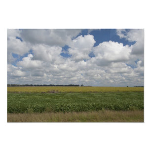 Argentina, Buenos Aires, San Antonio de Areco. Photo Print