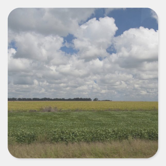 Argentina, Buenos Aires, San Antonio de Areco. Square Sticker (Front)