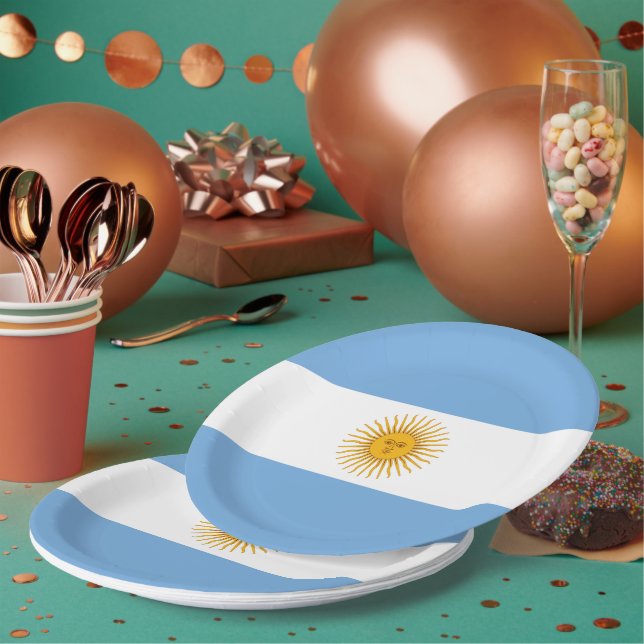 Argentina flag paper plate (Multi)