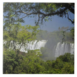 Argentina, Iguacu Falls in sun. 2 Tile