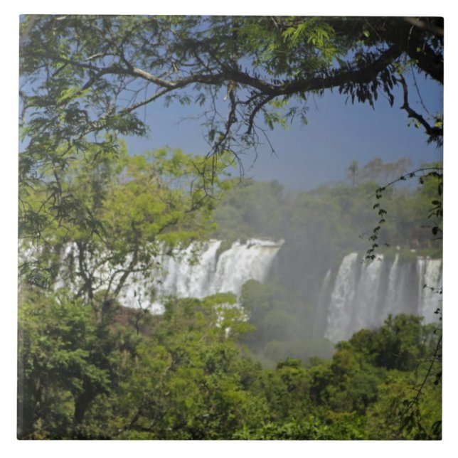 Argentina, Iguacu Falls in sun. 2 Tile (Front)