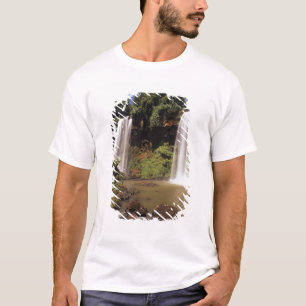 Argentina, Igwazu, Igwazu falls. Salto Dos T-Shirt