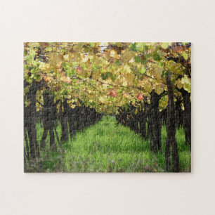 Argentina, Mendoza, Row Of Grape In Vineyard Jigsaw Puzzle