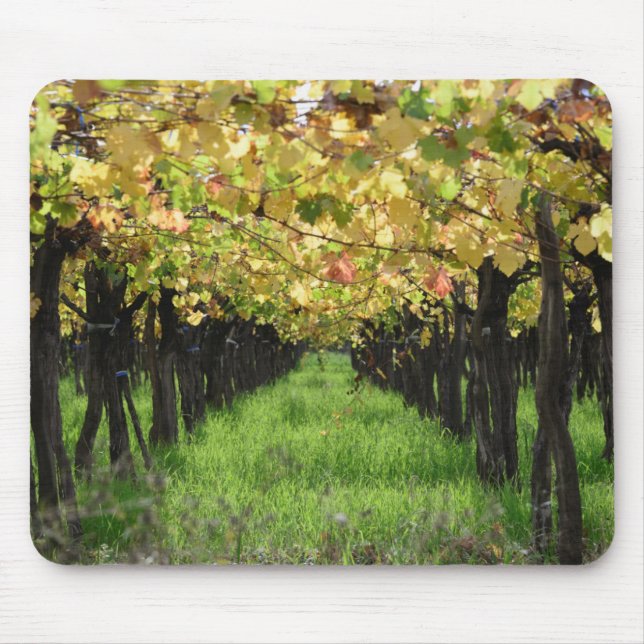 Argentina, Mendoza, Row Of Grape In Vineyard Mouse Mat (Front)