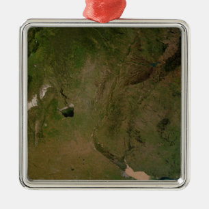 Argentina Metal Tree Decoration