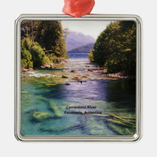 Argentina, Patagonia fine art ornament