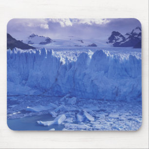 Argentina, Patagonia, Parque Nacional los Mouse Mat