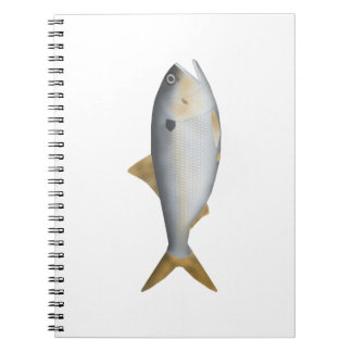 Argentine Menhaden Notebook