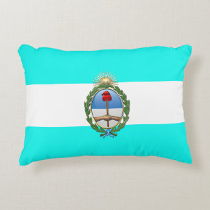 Argentinian flag decorative cushion
