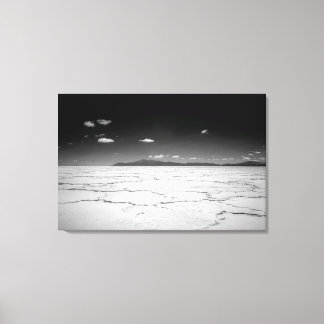 Argentinian Salt Flats Desert And Mountains Canvas Print