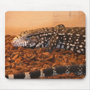 Argetine Black And white Tegu Mouse Mat