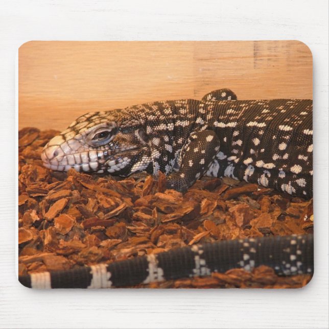 Argetine Black And white Tegu Mouse Mat (Front)