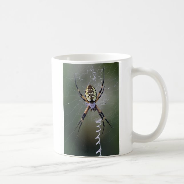 Argiope Aurantia Coffee Mug (Right)