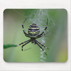 Argiope bruennichi mouse mat