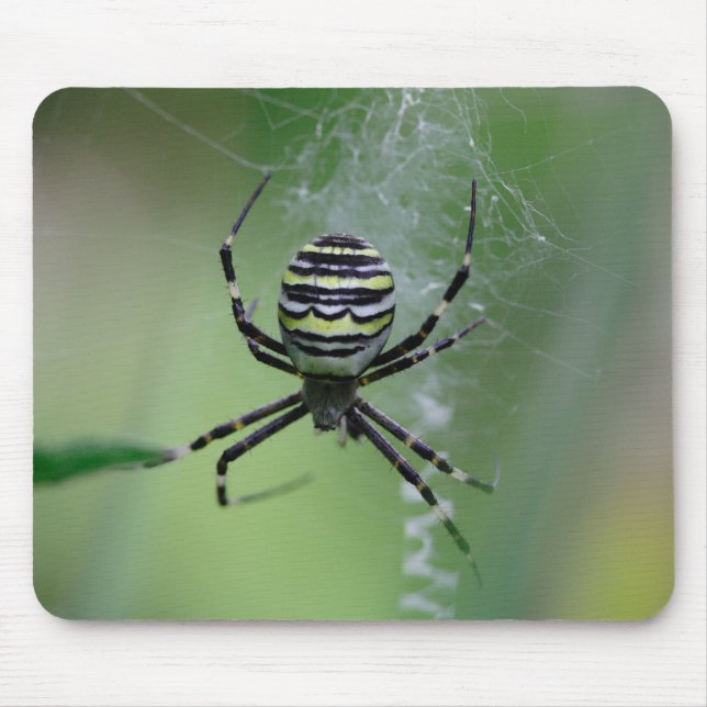 Argiope bruennichi mouse mat (Front)