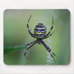 Argiope bruennichi mouse mat