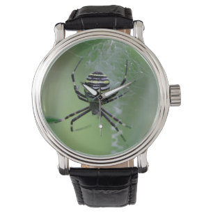 Argiope bruennichi watch