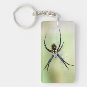 Argiope Garden Spider Acrylic Keychain