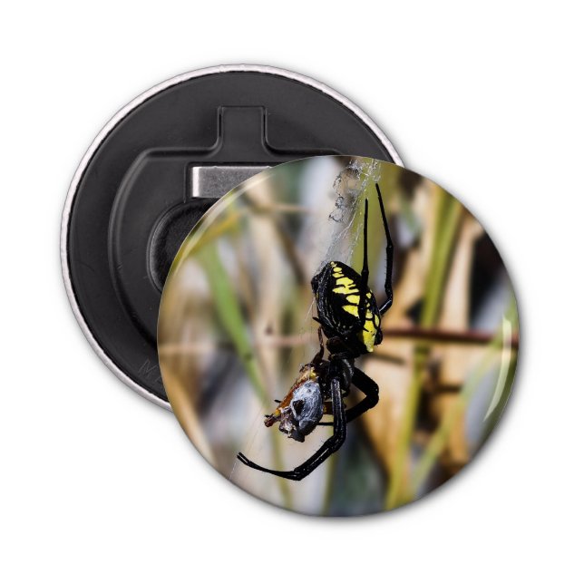 Argiope Garden Spider Magnet Backed Bottle Opener (Front)