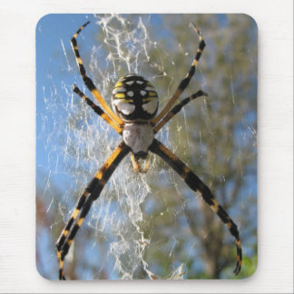 Argiope spider mouse mat