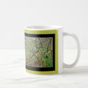 Argiope trifasciata Orb Weaver Spider Coffee Mug
