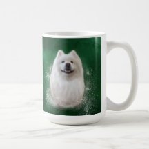 Ari the Samoyed collection